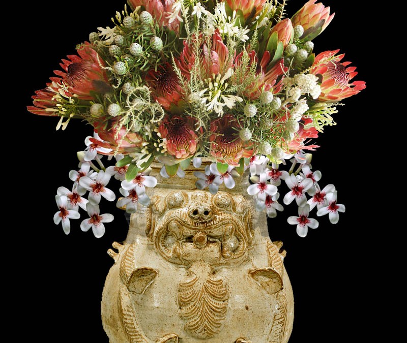 Foo Dog and Protea