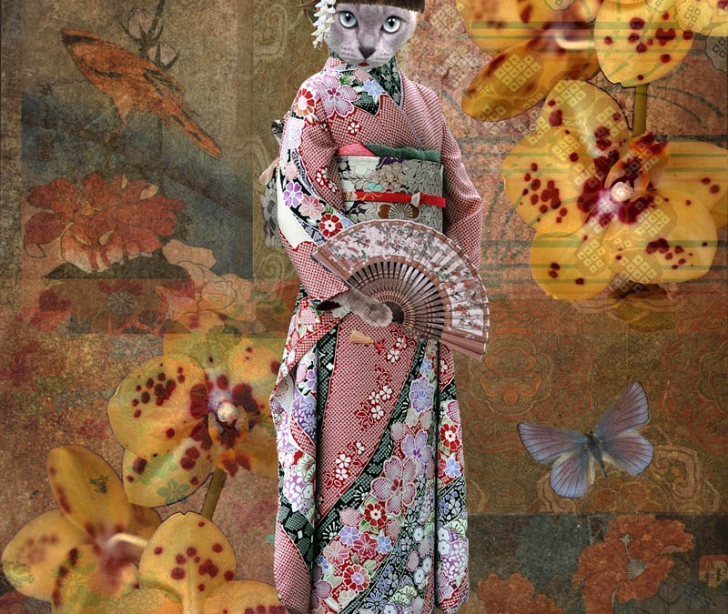 Kimono Butterfly