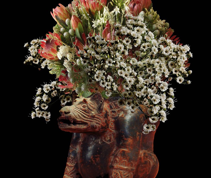 Mayan Dog and Baby Tears