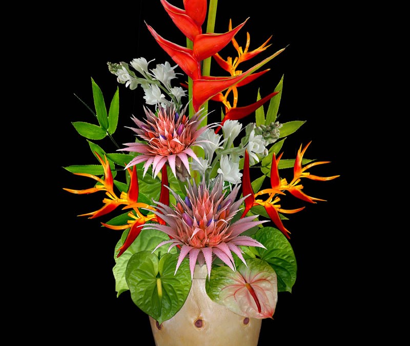 Norfolk and Tuberose